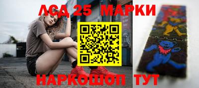 прущие грибы Шелехов