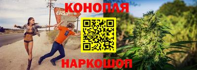 прущие грибы Шелехов