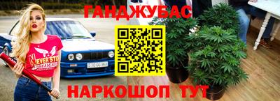 прущие грибы Шелехов