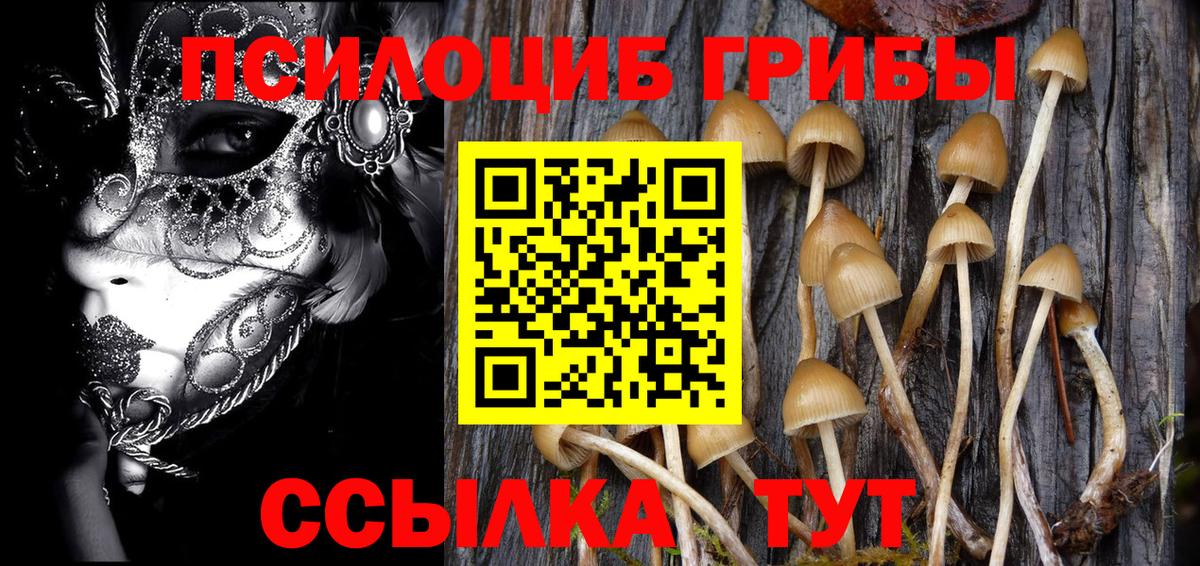 Псилоцибиновые грибы Psilocybe  Вход с VPN  Сибай 