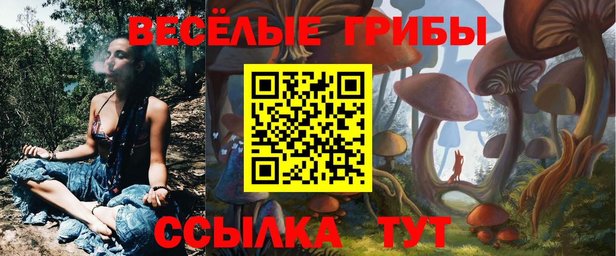 Галлюциногенные грибы Psilocybine cubensis Сибай